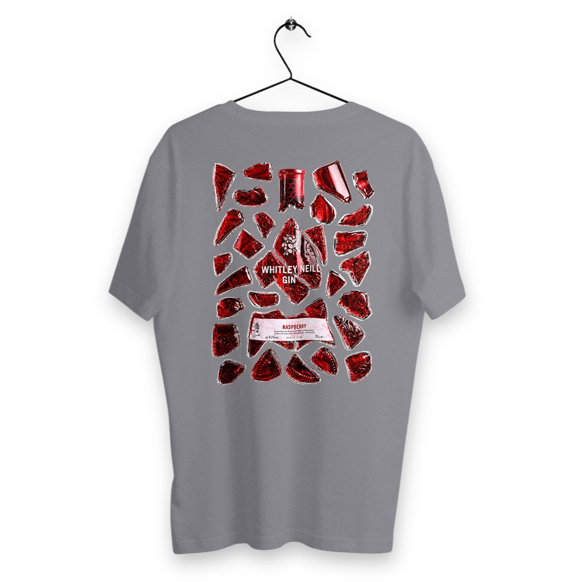 T-shirt Homme Neill - dos_gris